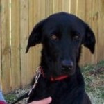 Lourdes & Flecha-Retired (Small) Lourdes & Flecha-Retired